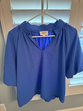 Umgee Cobalt Textured V-Notch Peasant Blouse